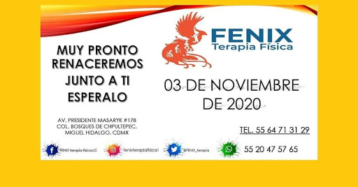 Clínica de Rehabilitación Física en Polanco- FÉNIX Terapia Física - Thumbnail