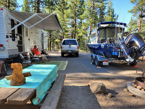 Logger Campground - Visual