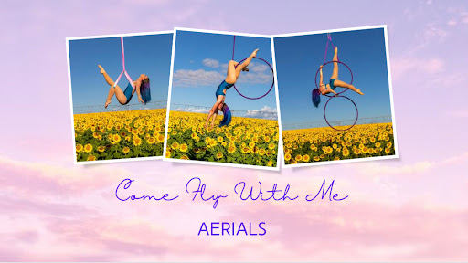 Come Fly With Me Aerials