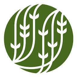 Photo n°8 de Palais des Thés à Chartres (Marchand de thé)