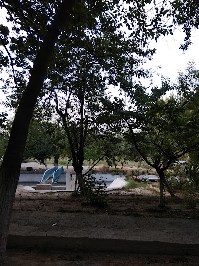 Photos of Mesto Otdykh "Dacha"