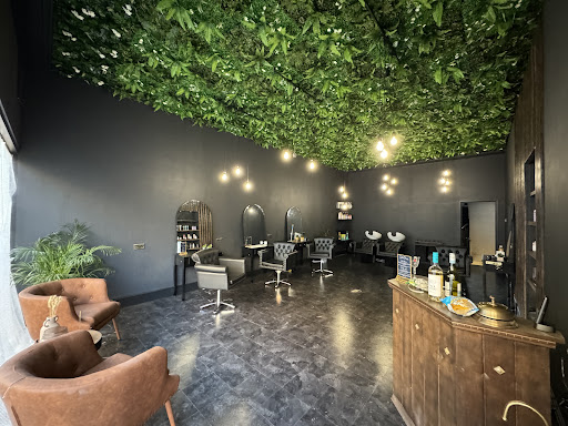 Jade Chapman Collection