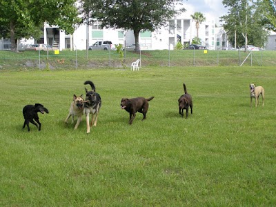 Photos of University of Doglando