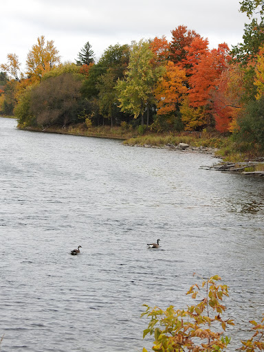 Gemmill Park - Visual