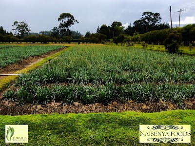 Photos of Turasha Windsong Farm Limited