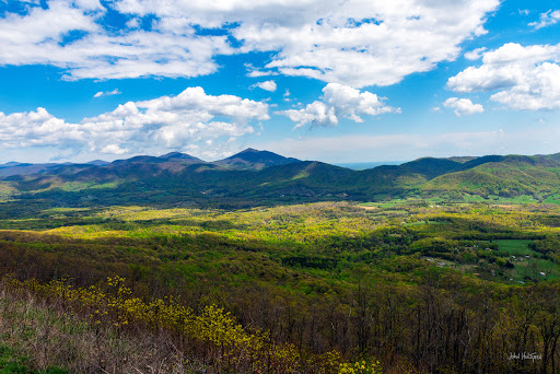 Pine Tree Overlook - Visual