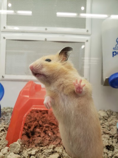 Petco