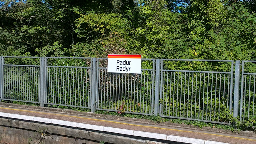 Radyr - Visual