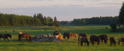 photo of Åckelsta Gård