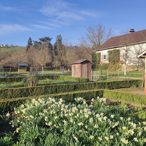 Heilbronn's Flowers Gallery - Germany