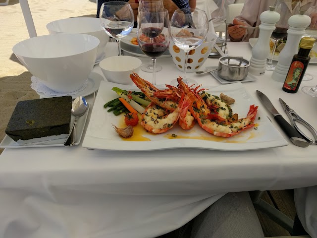 Club Les Palmiers