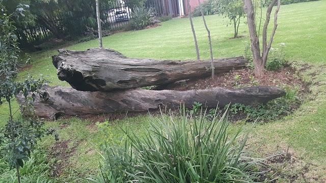 Melville Koppies Nature Reserve