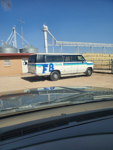 North Fork Feed Yard - Visual