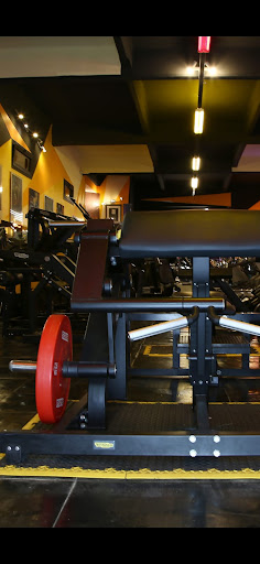 Palestra Power House - Thumbnail
