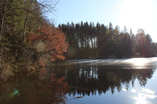 Holzweiher - Visual