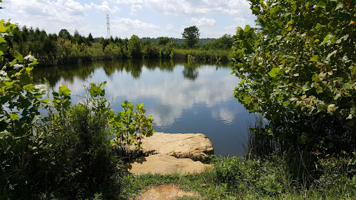 Boulder Pond - Visual