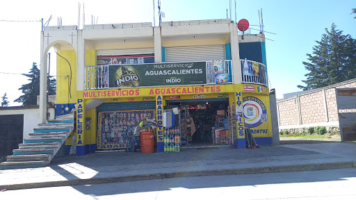Multiservicios Aguascalientes