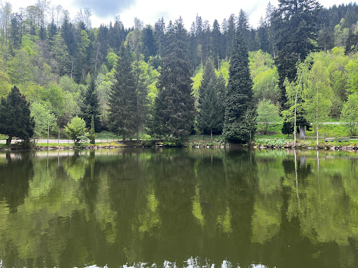 Bergsee - Thumbnail