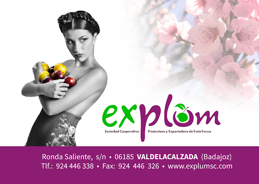 Explum - Visual