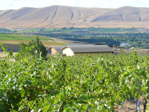 Hightower Cellars - Visual