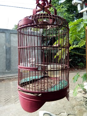 Kios Burung Pakde WARSITO, Author: Prida Nuryani