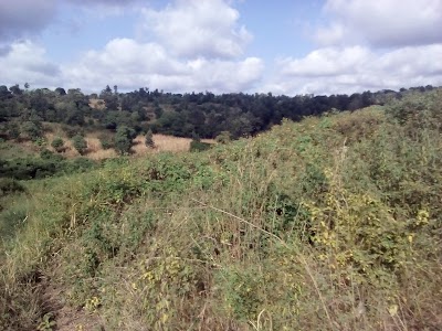 Photos of Karatai Farm