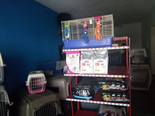 Changos pet