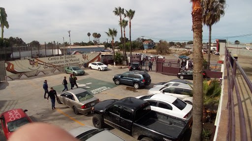 Universidad de Mexicali UM - Thumbnail