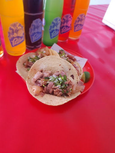 CARNITAS MARTHA - Thumbnail