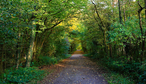 Naherholungsgebiet Sundern