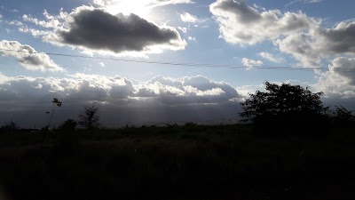 Photos of El 41