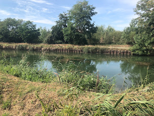 Photo n°3 de yoga qi gong naturopathie reflexologie Acorps pluriel à Blaignac (Centre de yoga)