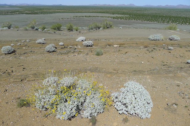 El Pinacate y Gran Desierto de Altar Biosphere Reserve