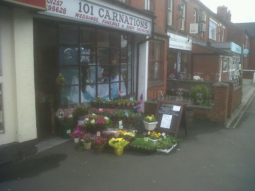 101 Carnations - Visual