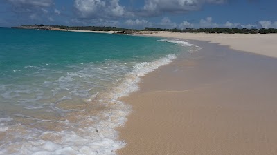 Photos of Dog Island