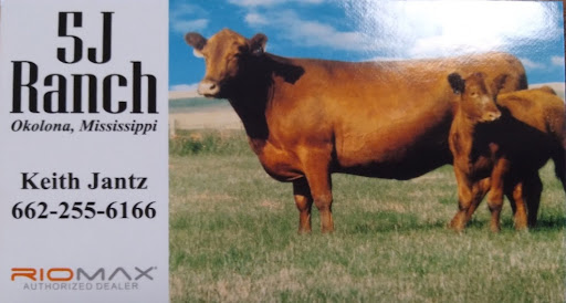 5J Ranch