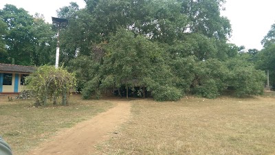 Photos of Ranchamadama Vidyalaya