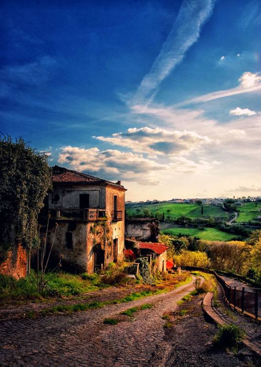 Apice