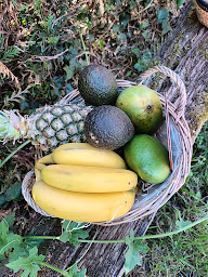 Photo n°15 de Les Ateliers du bio / Produits exotiques à Marchiennes (Grossiste d'épices)