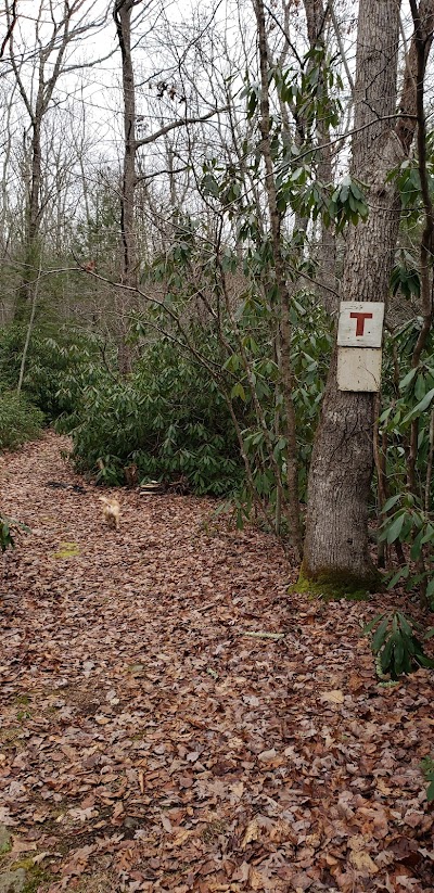 Bowers Creek Trail