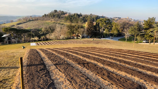 La Collina Dorata. Market Garden