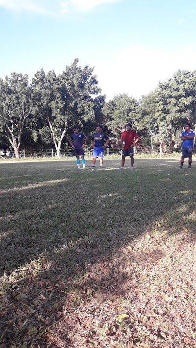 Photos of UPM 8