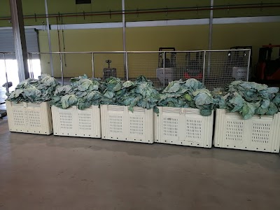 Photos of AMTA Ongwediva FPBH