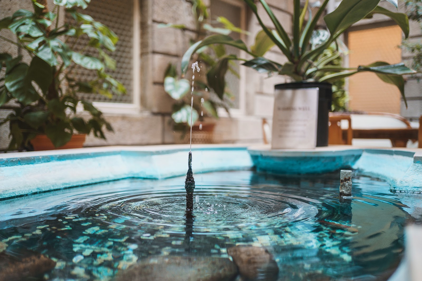 Blume Baden Hotel — photo 12