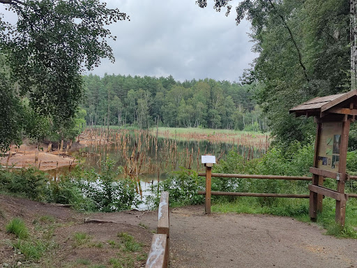 Geopark - stacja K - zapadlisko pokopalniane - Thumbnail