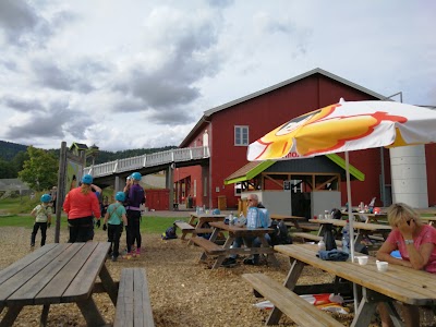 Photos of H&oslash;yt og Lavt Aktivitetspark AS/ H&oslash;yt & Lavt Vestfold