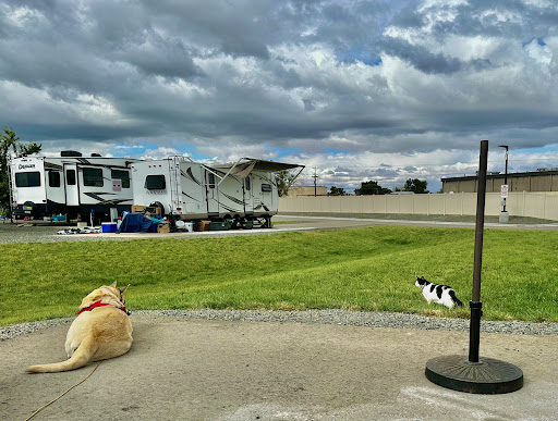 River Point RV Park - Thumbnail