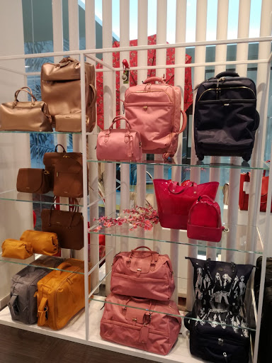 Chic Accent - Visual
