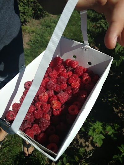 Photos of Erwin Orchards