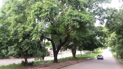 Photos of Parque Remanso 2